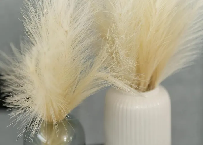 Appartement Modern Remote Work Close To The Malta By Renters *